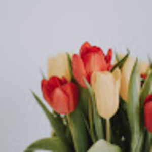 Meet your Posher, Madelyn